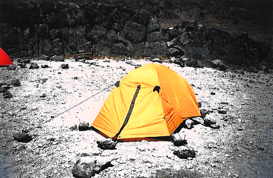 Kilimanjaro Journal-5